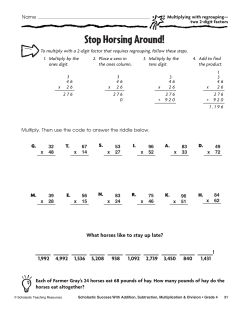 Stop Horsing Around!