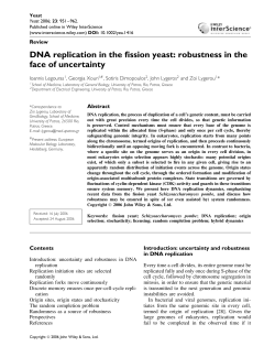 DNA replication in the fission yeast