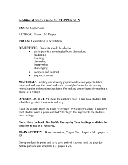 Additional Study Guide for COPPER SUN