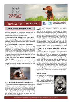 OUR TEETH MATTER TOO!