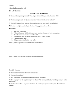 Alcoholic Fermentation Lab Pre