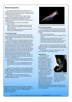 Marine Ecosystems - Gateway Antarctica