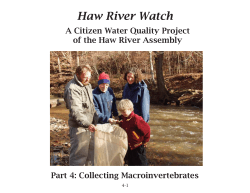 Collecting Macroinvertebrates
