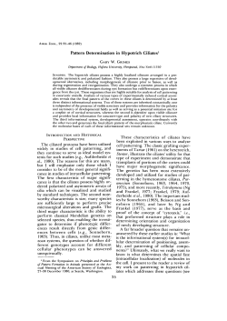 Pattern Determination in Hypotrich Ciliates1