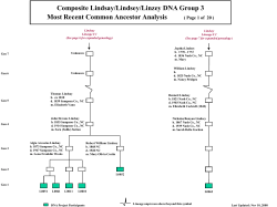 DNA Group 3 Graphics