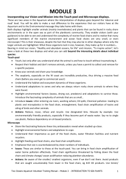 sea plants - Two Oceans Aquarium