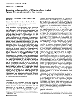 Formation and accumulation of DNA ethenobases in adult Sprague