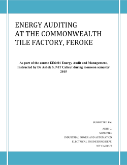 ENERGY AUDITING AT THE COMMONWEALTH TILE FACTORY