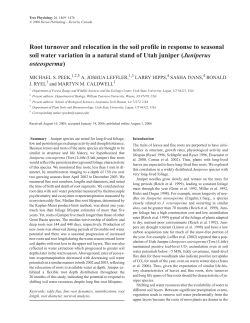 Root turnover and relocation in the soil profile in response to