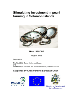Stimulating investment in pearl farming in Solomon Islands