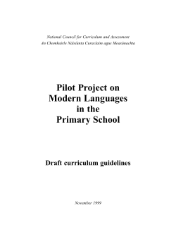 Pilot Project on Modern Languages in the Primary School