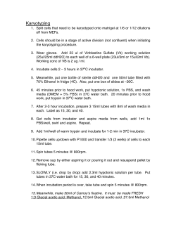11. Karyotyping protocol