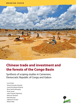 Chinese trade and investment and the forests of the Congo Basin