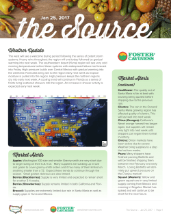 The Source - Foster