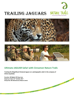 SEARCHING sTRIPES&hellip;