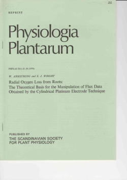Radial Oxygen Loss from Roots: The Theoretical