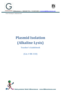 Plasmid Isolation (Alkaline Lysis) - G