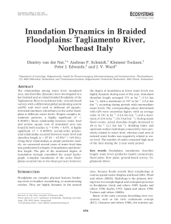 Inundation Dynamics in Braided Floodplains: Tagliamento River
