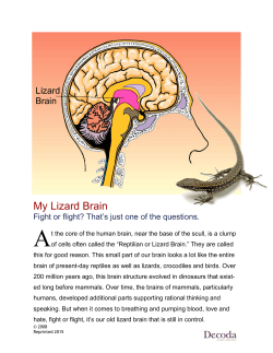 My Lizard Brain - Decoda Literacy Solutions