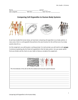 Comparing Cell Organelles to Human Body Systems