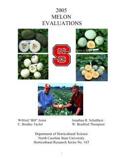 2005 melon evaluations