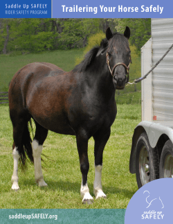 Trailering Your Horse Safely - UK HealthCare