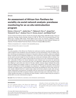 An assessment of African lion Panthera leo
