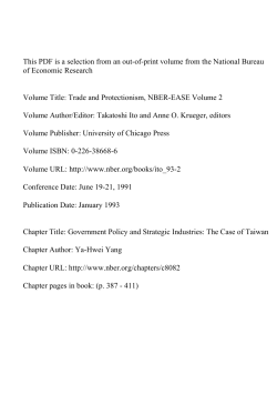 Government Policy and Strategic Industries: The Case of