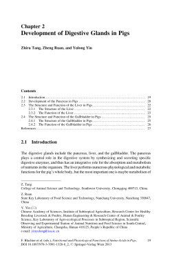 Sample pages 1 PDF