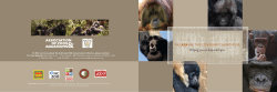 Helping zoos to help wild apes.
