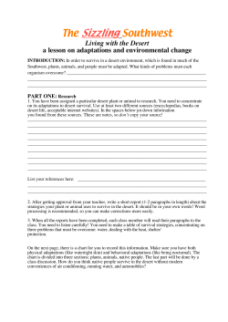 Activity worksheet
