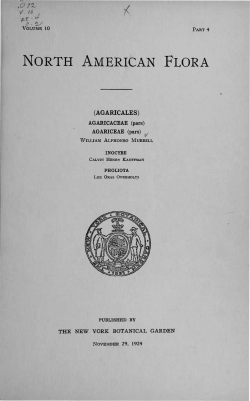 North American flora