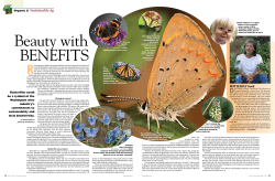 BUTTERFLY book - Great Northwest Wine