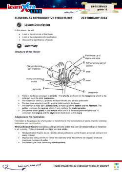 FLOWERS AS REPRODUCTIVE STRUCTURES 26