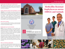 Methicillin-Resistant Staphylococcus aureus (MRSA) and Animals