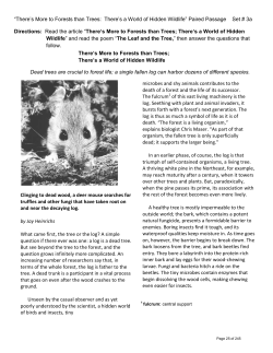 “There`s More to Forests than Trees: There`s a World of Hidden