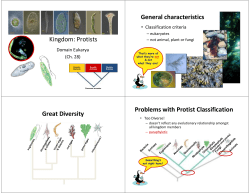 Kingdom: Protists General characteristics Great Diversity Problems