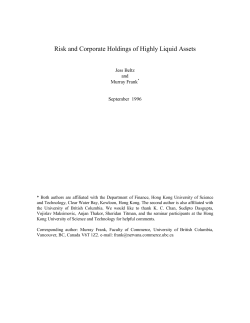 Risk and Corporate Holdings of Highly Liquid Assets