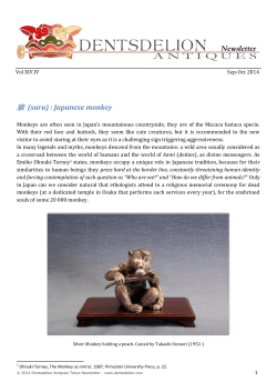 猿 (saru) : Japanese monkey