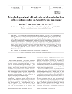 Full text in pdf format