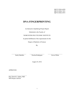 dna fingerprinting