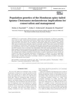 Population genetics of the Honduran spiny