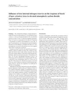 Influence of tree internal nitrogen reserves on the response of beech