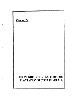 economic importance of the plantation sector in kerala