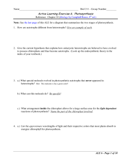 Active Learning Exercise 6