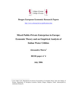 An economic analysis of mixed enterprises