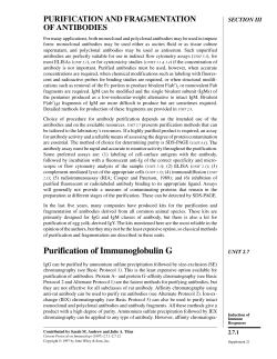 Purification of Immunoglobulin G