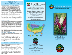 Roberta`s Growing Guide