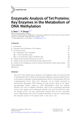 Enzymatic Analysis of Tet Proteins: Key Enzymes