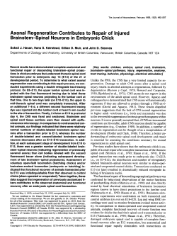 Axonal Regeneration Contributes to Repair of Injured Brainstem